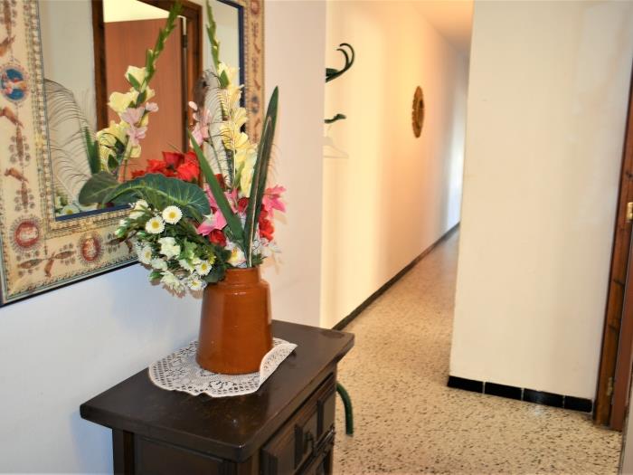 image Aransol B - 4/6 personas 15