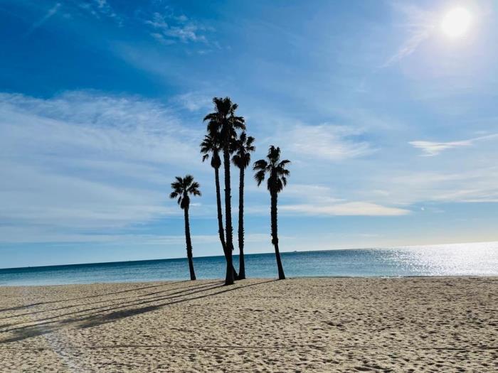 image Ran de Mar D A 15